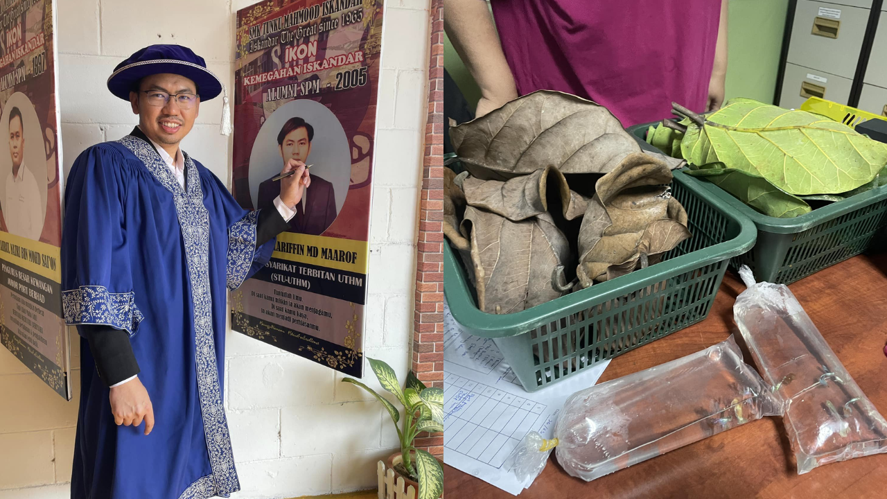 From RM8 To Millions: Malaysian Lecturer's Journey To Wealth By Selling Dried Leaves Online