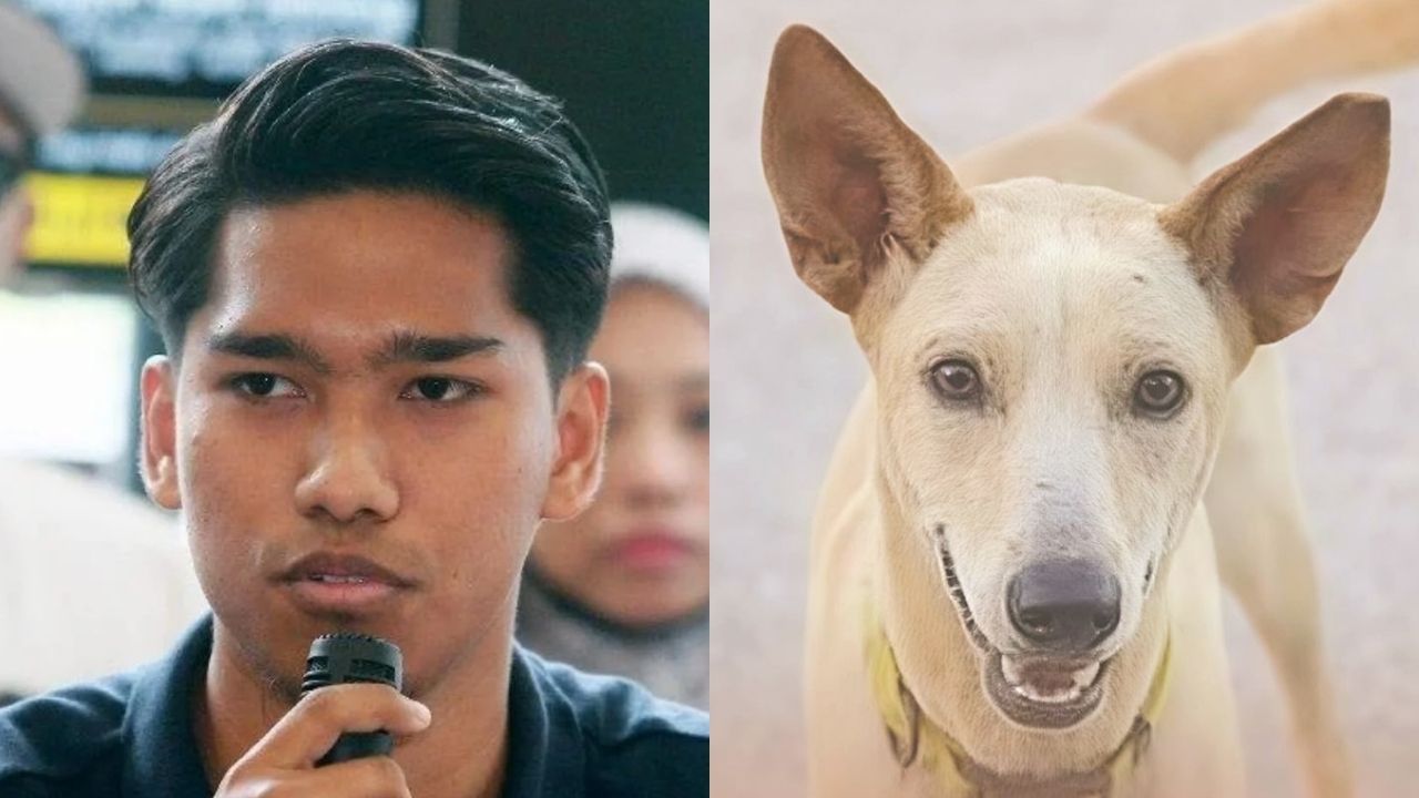 Muhammad Shah Denies Killing Rocky, Says He Faced Death Threats After Viral Video