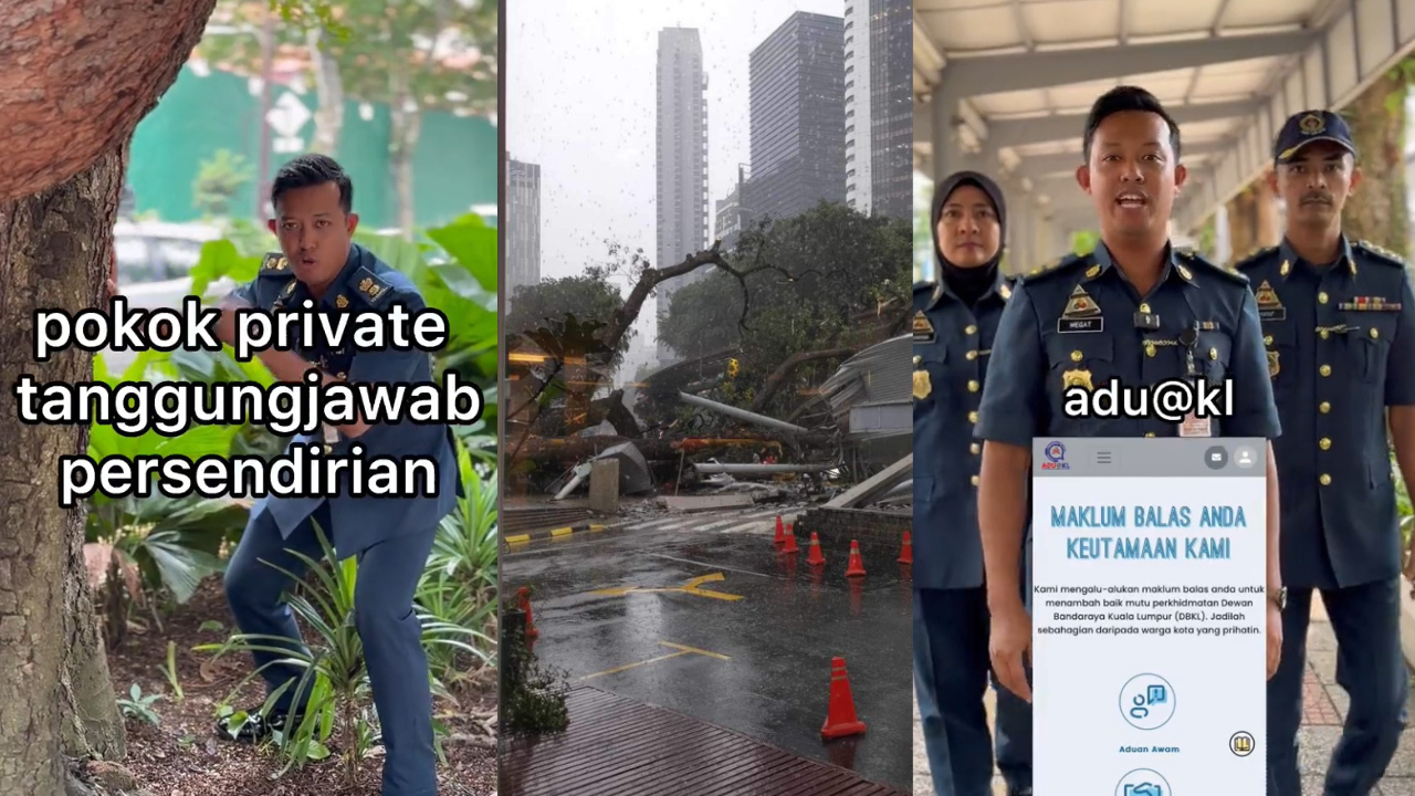 DBKL Clarifies: Not All Trees In KL Are Under Their Responsibility