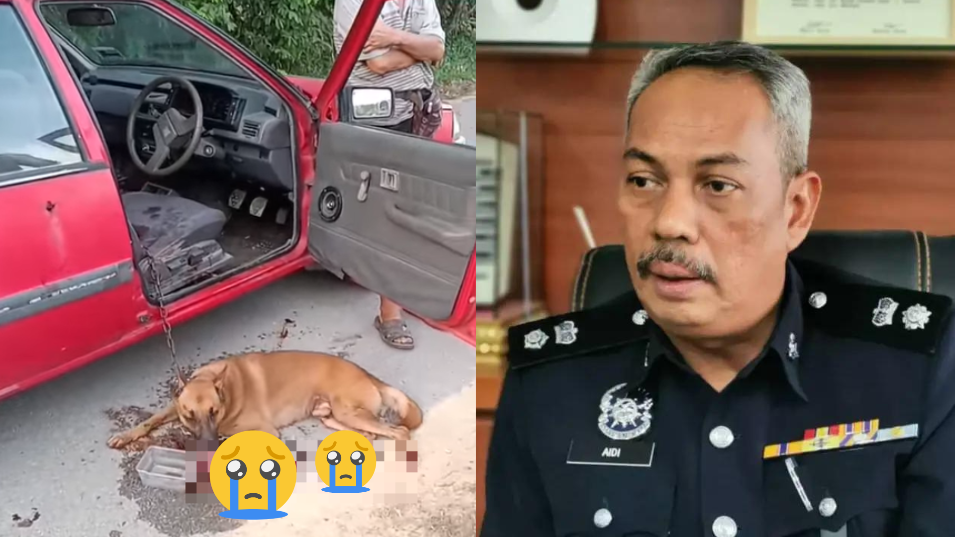 Dog Abuser Exposed: Owner Of Viral Port Dickson Restaurant Arrested For Chaining And Dragging Dog Behind Car
