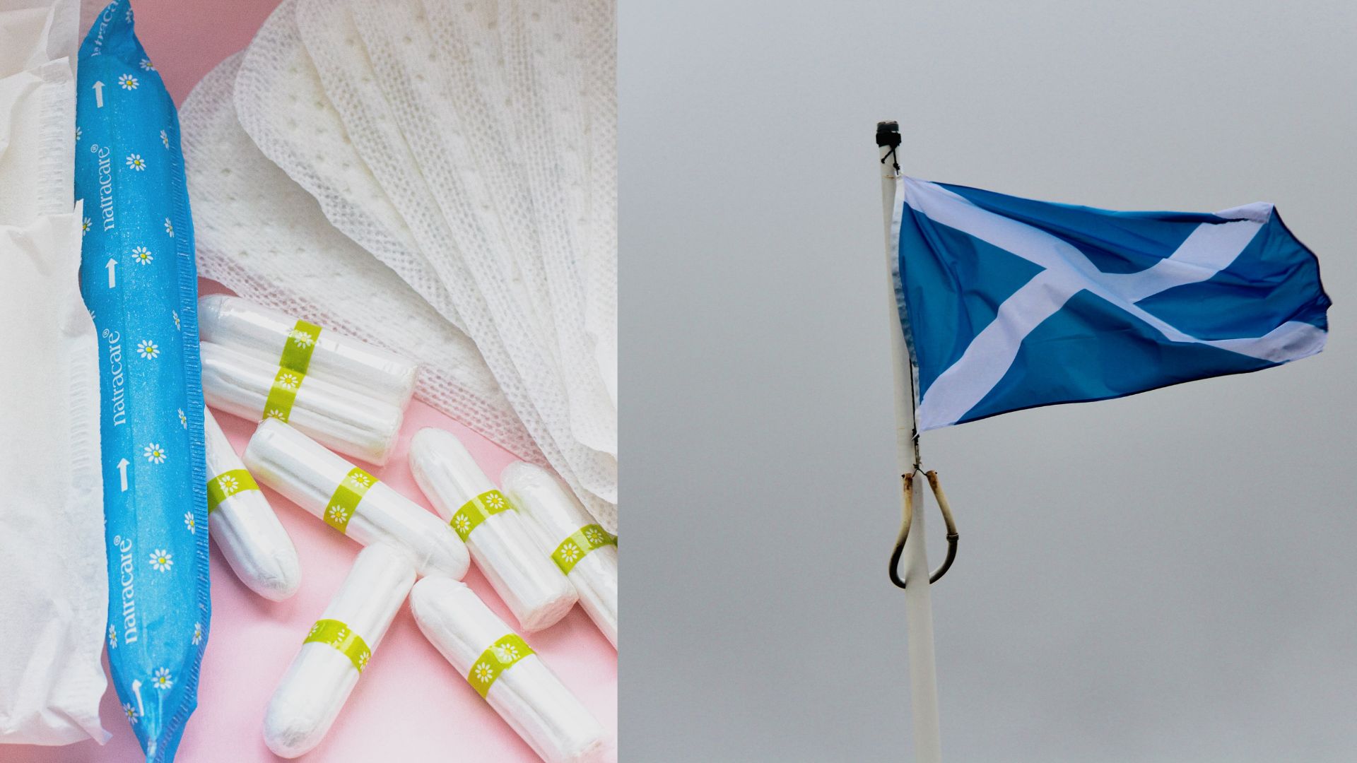 Now, menstruation products should be freely distributed to the public in Scotland, according to a new law. 